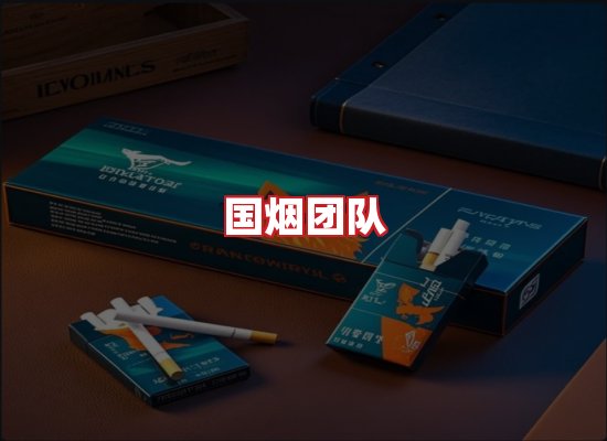国烟团队