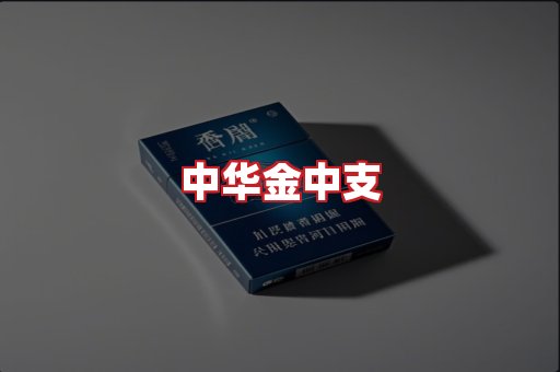 中华金中支